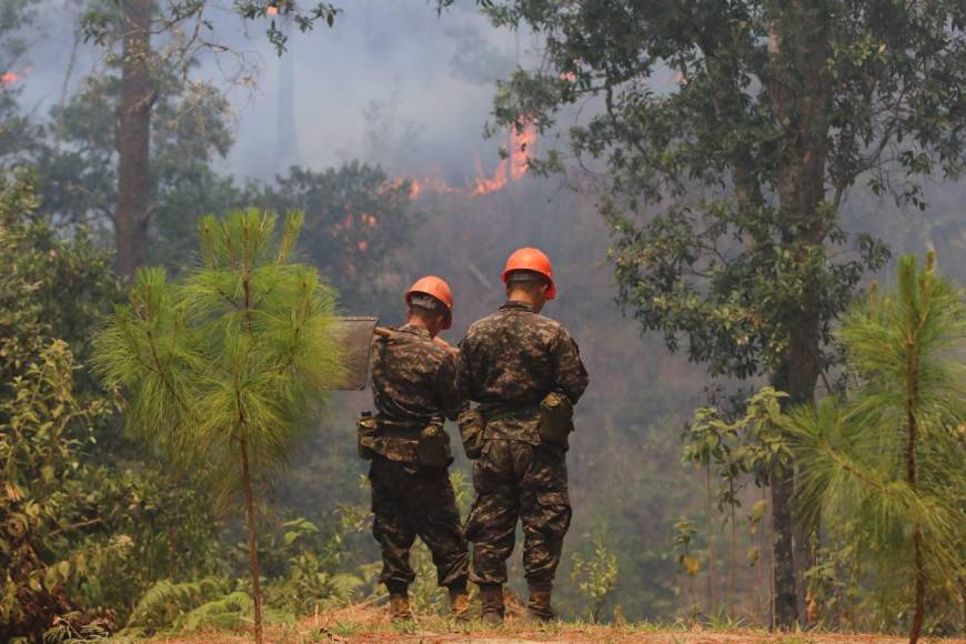 Bruma y árboles quemados se apoderan de La Tigra: así es el ambiente desde adentro