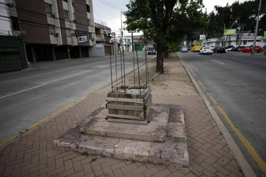 Imágenes: Entre daños y olvido así lucen los héroes del bulevar Los Próceres