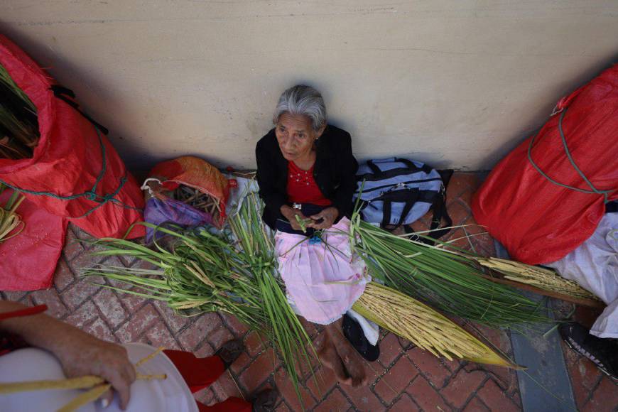 Familias enteras reviven en Comayagua tradicional venta de palmas previo a Domingo de Ramos