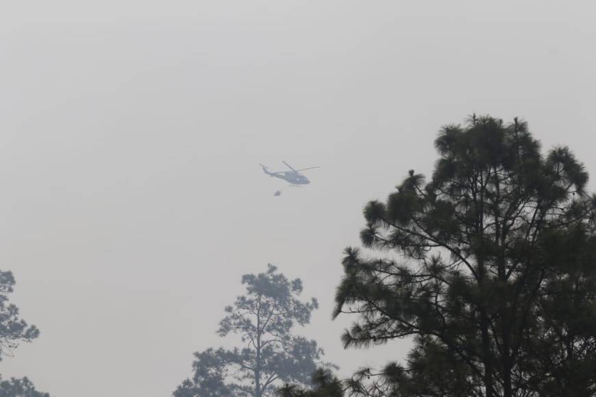 Así consume el bosque incendio desatado en el cerro de Uyuca