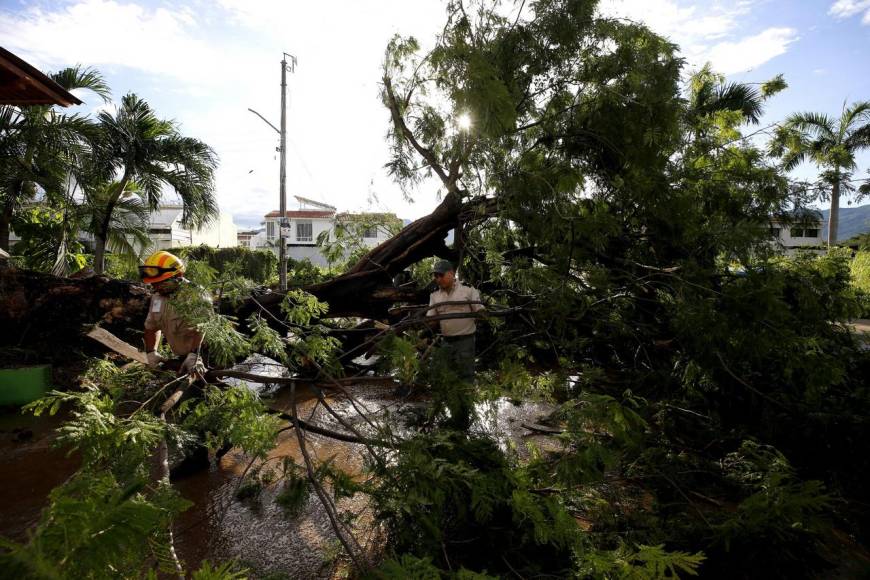 Muertes, inundaciones y destrozos deja Lidia a su paso por México