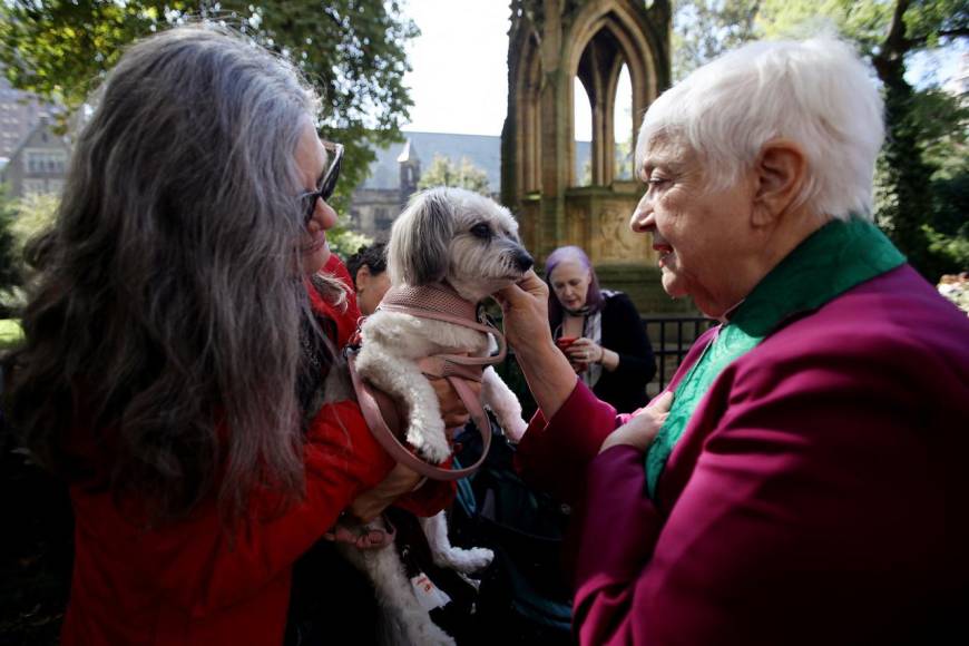 Inusual y llena de alegría: así fue la bendición de mascotas en Nueva York