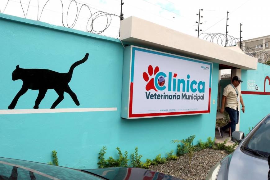 Conozca las instalaciones y servicios que ofrece la clínica Veterinaria Municipal