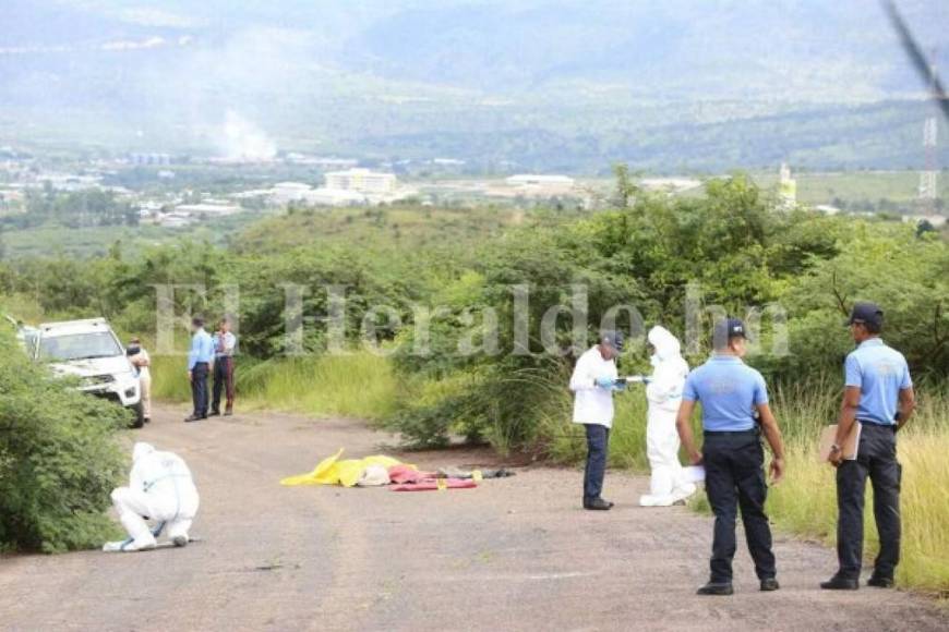 “Por sapos”, “ya empezó limpieza” y “con nosotros no se juega”: los macabros mensajes en rótulos hallados junto a cadáveres