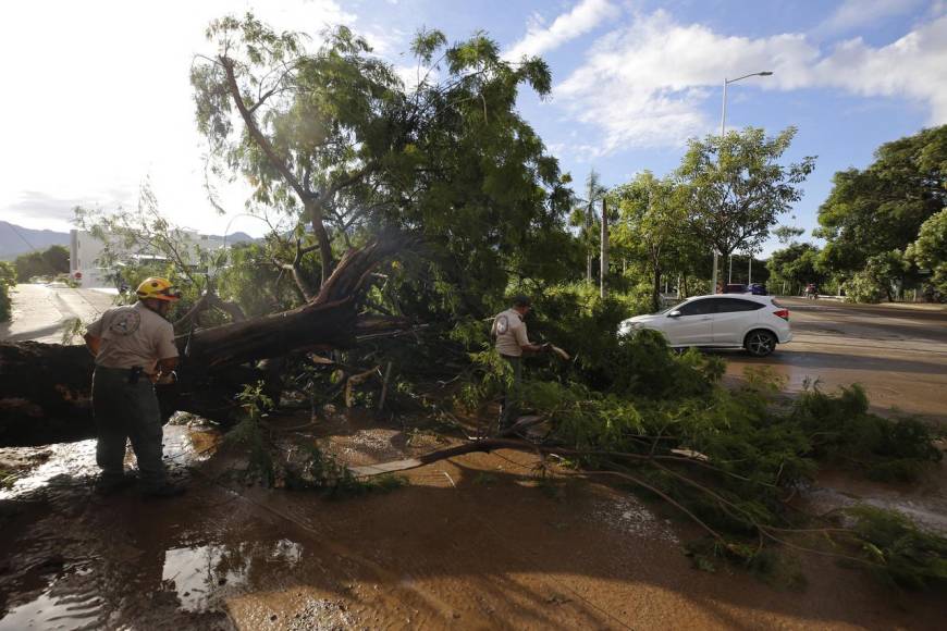 Muertes, inundaciones y destrozos deja Lidia a su paso por México