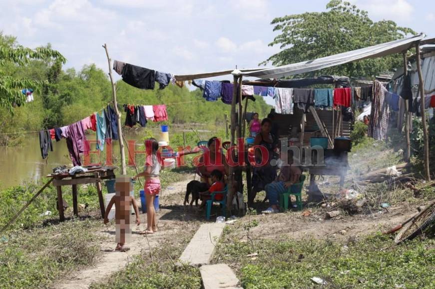 Desolados y a la espera de ayuda están decenas de familias en excampos bananeros