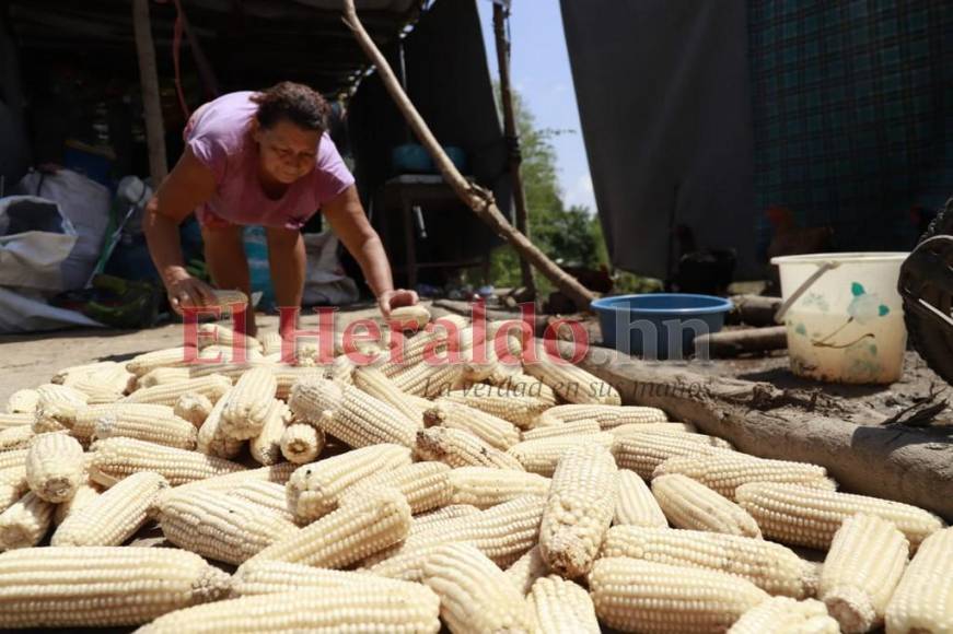 En canoa, tractores y helicópteros llevan ayuda a damnificados de excampos bananeros