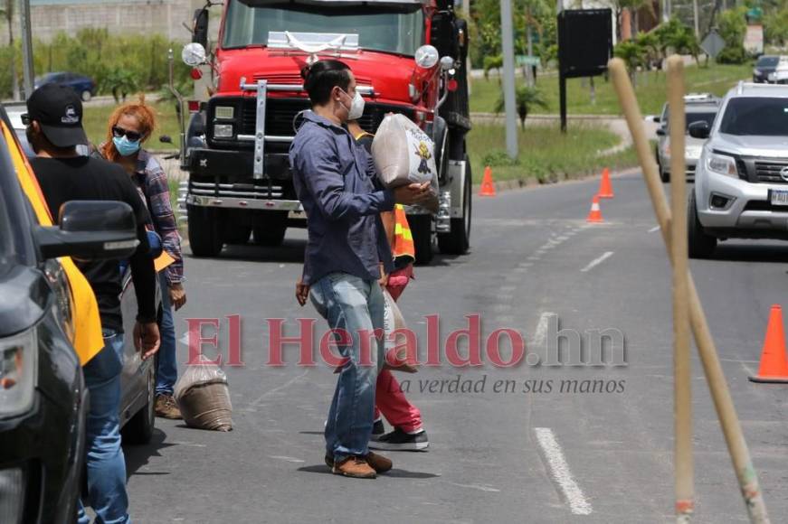 ¡Bacheo voluntario! Capitalinos salen a reparar las calles (FOTOS)