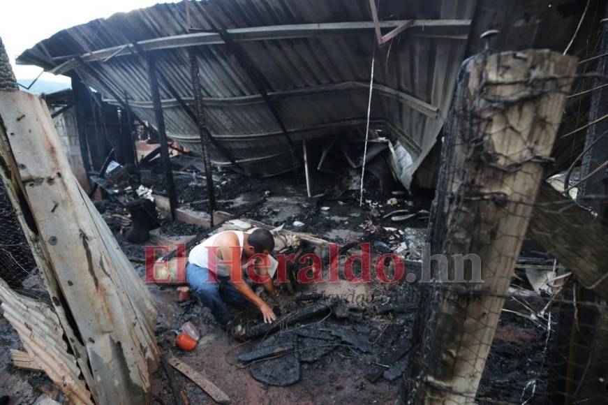 Reducidas a cenizas, así quedaron tres casas tras voraz incendio en la colonia Canaán