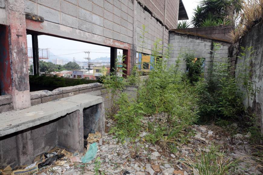 Fotos: Así luce el Centro Social Universitario a 23 años de su abandono