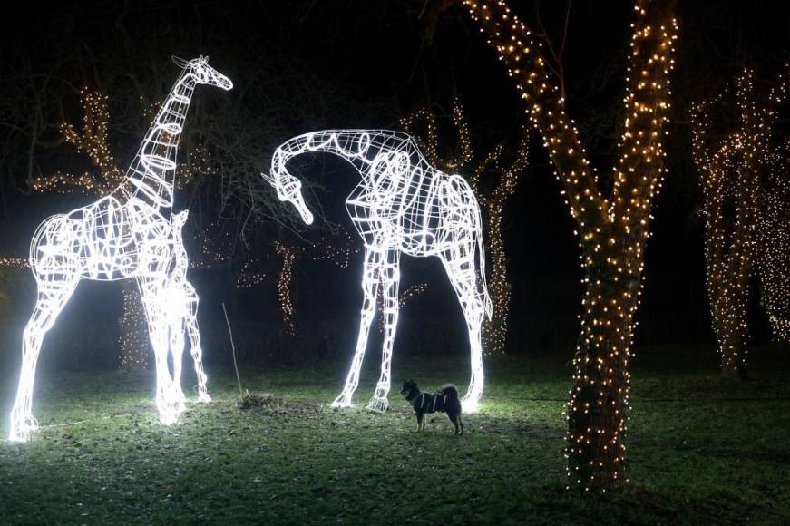 Códigos QR y Santas voladores: curiosas decoraciones en Navidad 2023