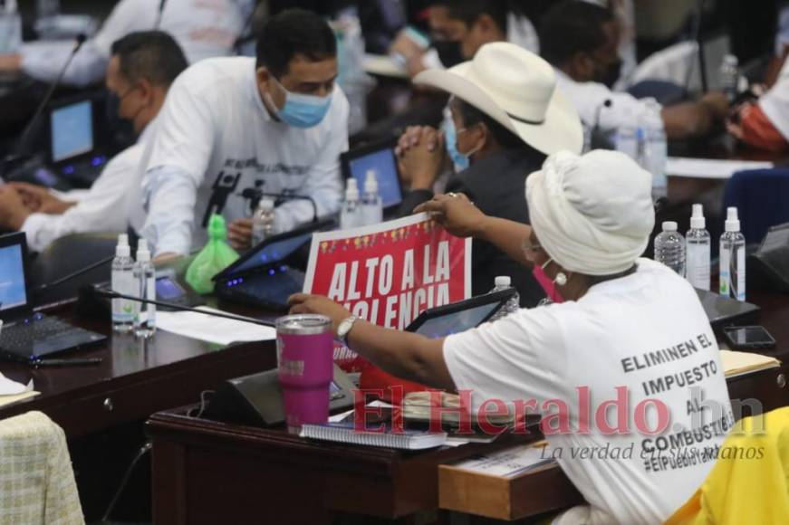 Bienvenida a Beatriz Valle, piden eliminar impuesto a combustibles y bioseguridad: Lo que dejó la reactivación de sesiones legislativas