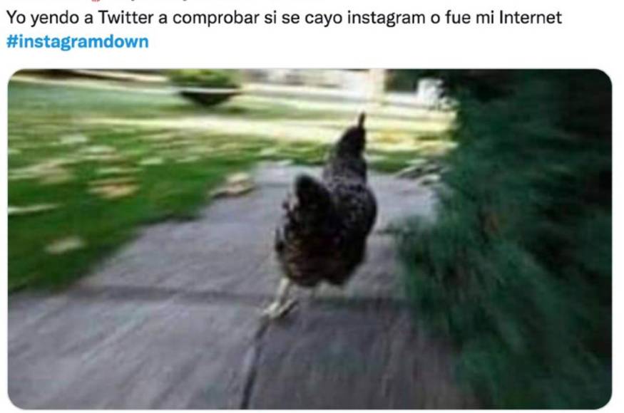 Caída mundial de Instagram provoca divertidos memes