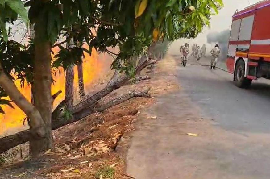 Arde La Tigra: impactantes imágenes del incendio forestal de gran magnitud