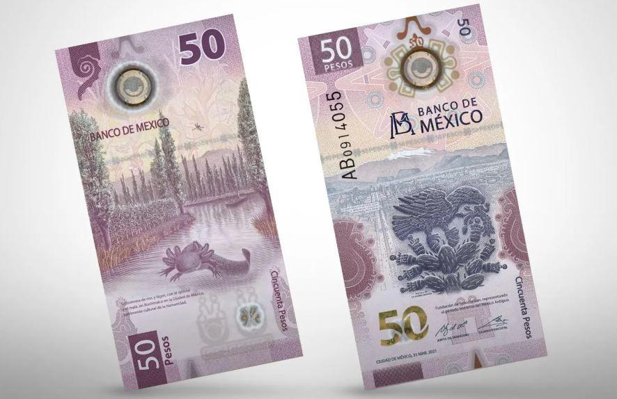 Así lucen los billetes más bonitos del mundo en 2024 y la última década