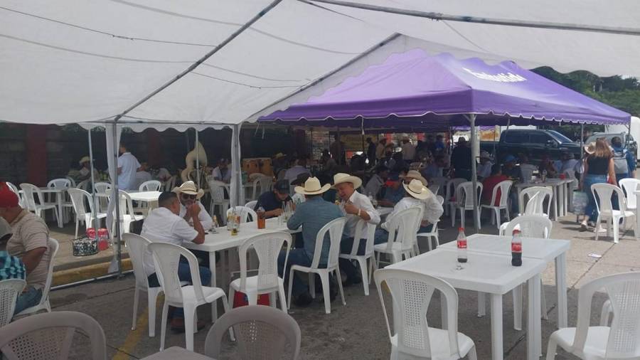 Alegría y sabor: el ambiente en el Carnaval de Tegucigalpa