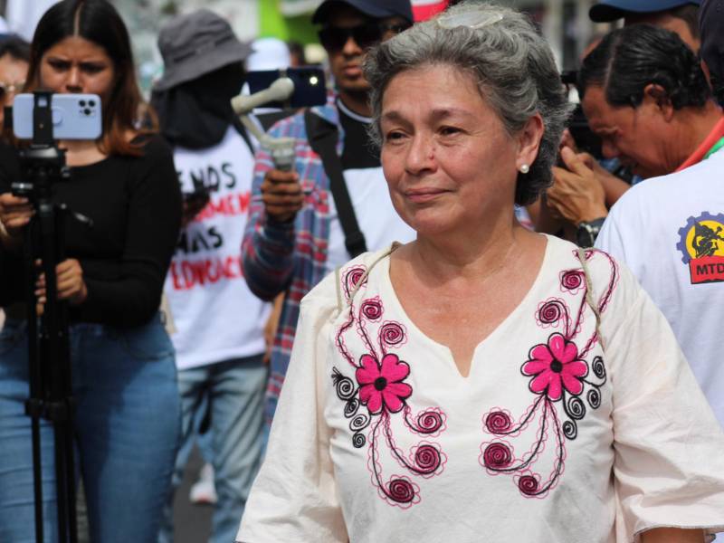 Idalia Zúniga, exdirectora del Complejo Educativo República de Perú, durante su participación en la marcha del 18 de octubre donde denunció las precariedades del sistema educativo. Zúniga ha sido de las voces más resonantes para denunciar esta situación.