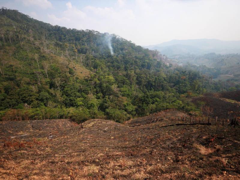 Las zonas núcelos se ven afectadas por los incendios que en su mayoría son provocados por mano humana.