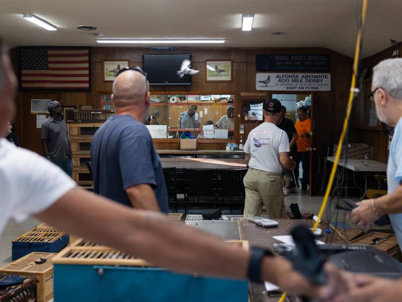 El Lyndhurst Homing Pigeon Club es uno de más de dos docenas de clubes similares que aún operan en Nueva Jersey.