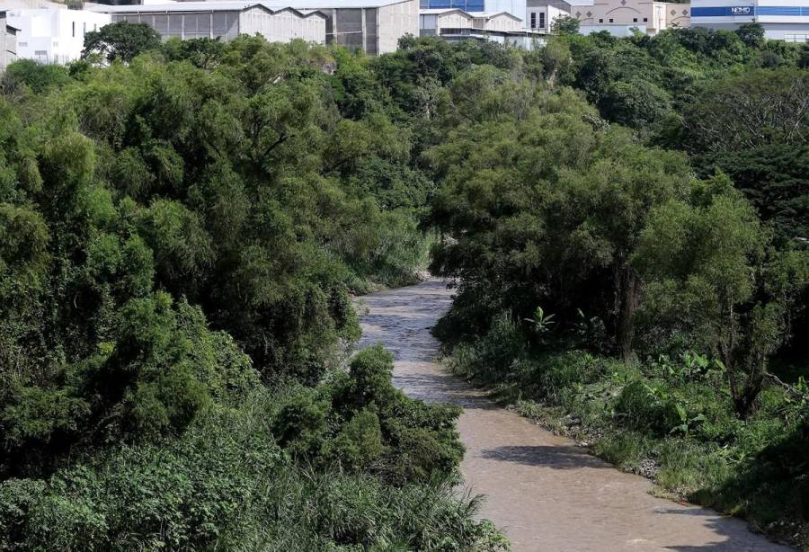 Así se encuentra el nivel del río Choluteca tras recientes lluvias