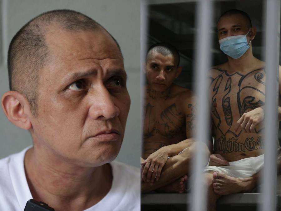 Lujos y respeto: así engancha la MS-13 a los jóvenes, relata cabecilla en Cecot