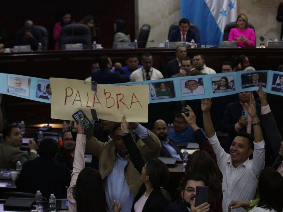 El video de Carlón y a poco de llegar a los golpes: la tensión en el Congreso Nacional