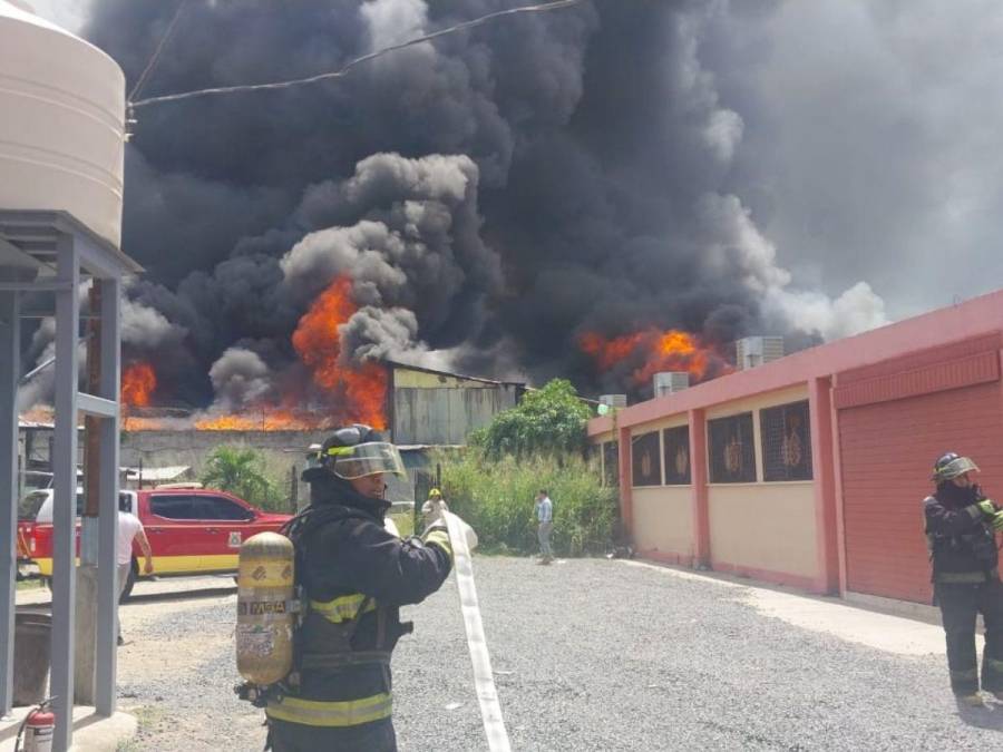 Las imágenes del pavoroso incendio en la colonia El Prado