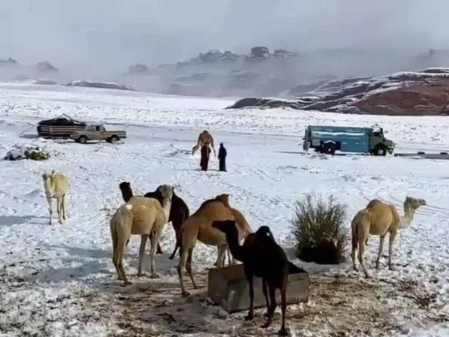 Desierto de Al Jawf en Arabia Saudita se cubre de nieve por primera vez en la historia