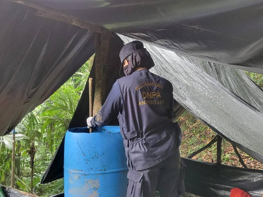 Desmantelan plantación de coca y narcolaboratorio en pleno Parque Nacional Pico Bonito