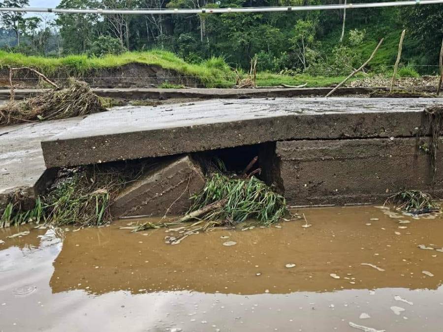 Trojes, El Paraíso, urge de apoyo tras desastre provocado por las lluvias