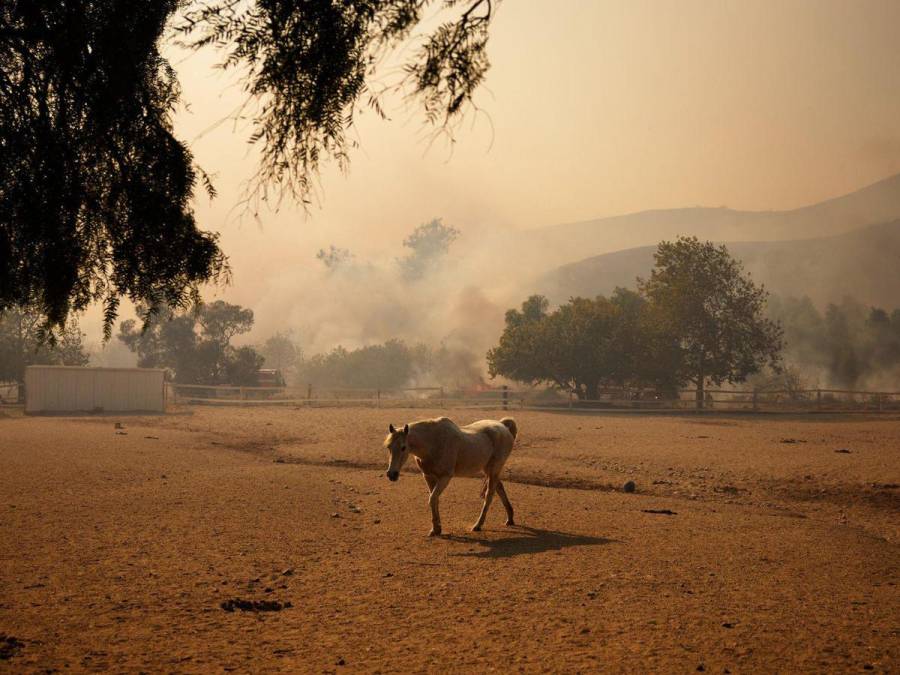 Descontrolado incendio en el noroeste de Los Ángeles consume 10,000 acres