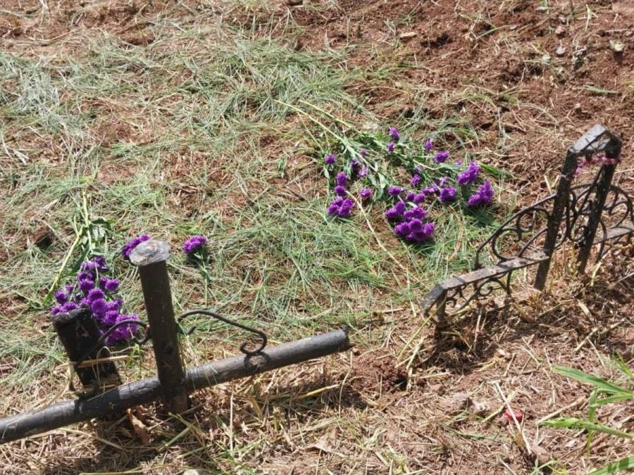 Con flores, globos y alfombras: capitalinos conmemoran el Día de Difuntos