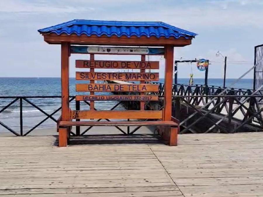 Desolada queda la playa de Tela donde un hombre fue atacado por un tiburón