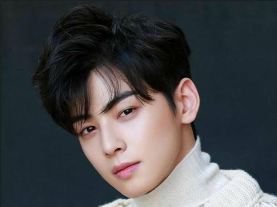 Cha Eun-woo, actor surcoreano que rindió homenaje al café hondureño