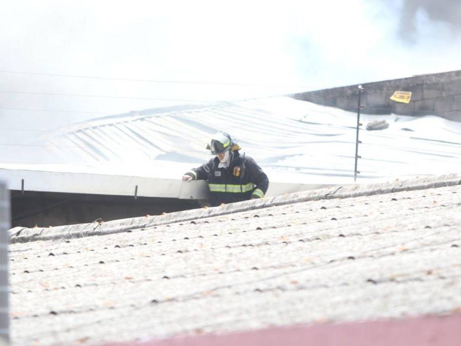 Infierno en El Prado: Bomberos batallan contra las furiosas llamas