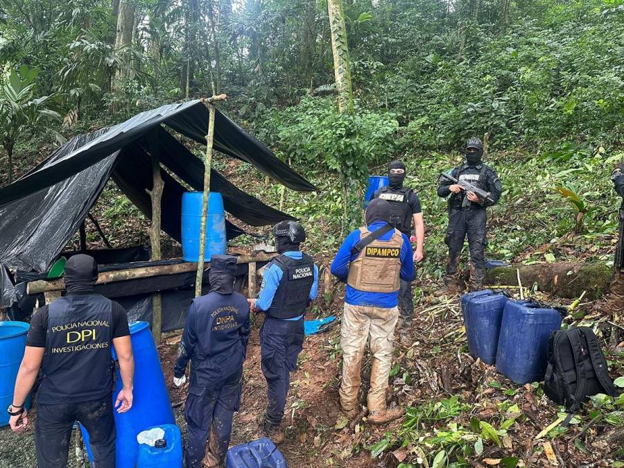 Desmantelan plantación de coca y narcolaboratorio en pleno Parque Nacional Pico Bonito