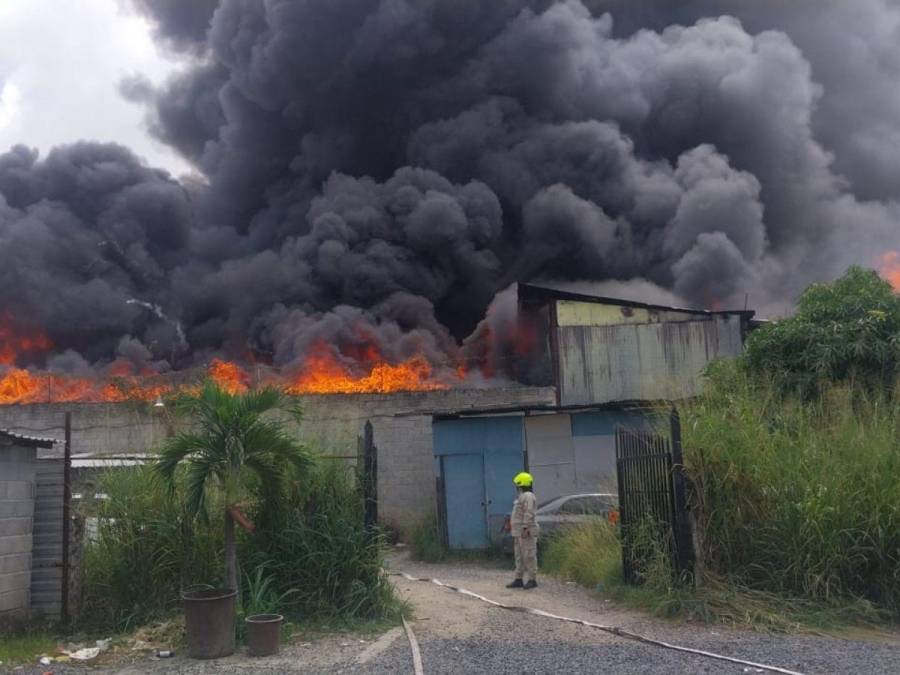 Las imágenes del pavoroso incendio en la colonia El Prado