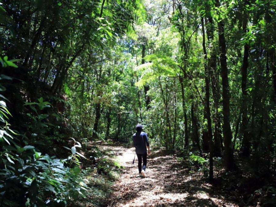 Pintorescos y relajantes: lugares para visitar durante la Semana Morazánica cerca de la capital