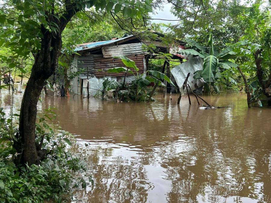 Inundaciones, daños y crecidas de ríos: imágenes de las lluvias en Choluteca