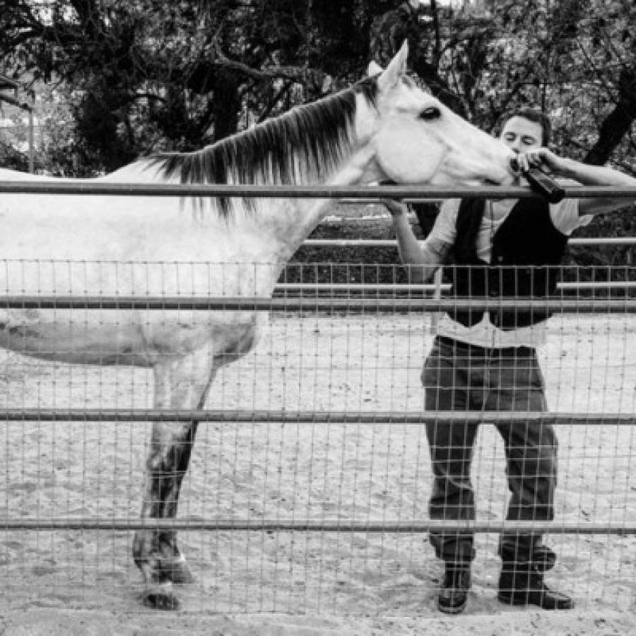 Channing Tatum adoptó un caballo