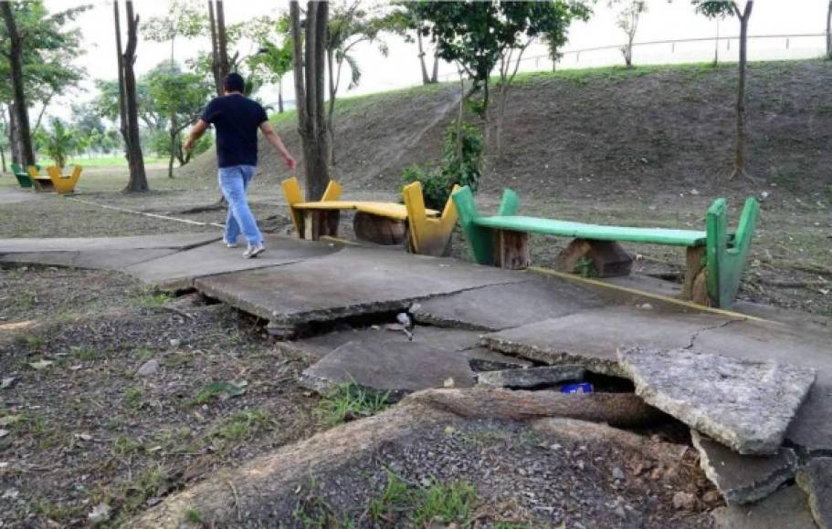 Abandonado y destruido: Así está el Estadio Olímpico; Condepor denunció las condiciones