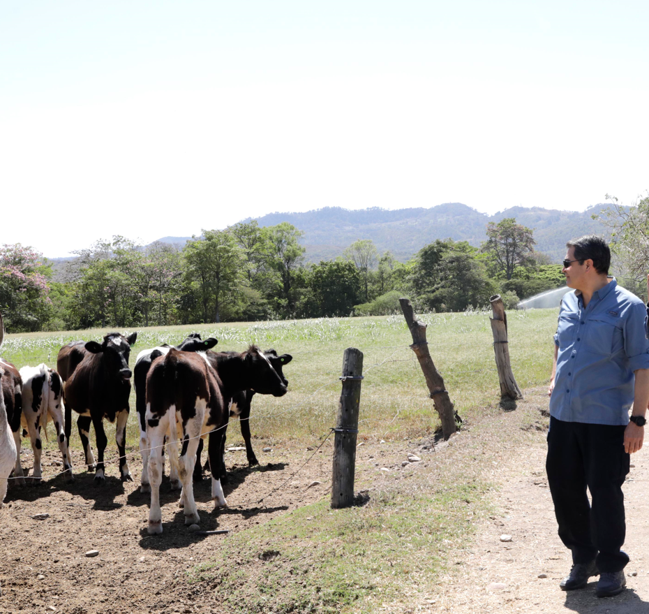 $!Juan Orlando Hernández es descrito como un hombre nativo y campesino. Es originario de la aldea Río Grande, en Gracias, Lempira.