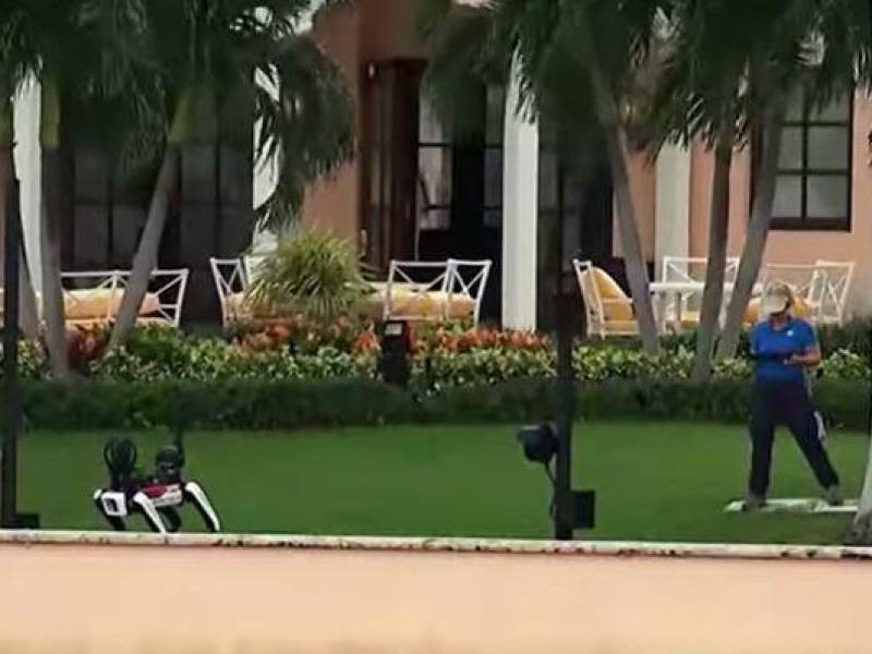 El Servicio Secreto de los Estados Unidos comenzó a emplear perros robot para la protección del presidente electo, Donald Trump, en su residencia y club privado de Mar-a-Lago, en Palm Beach (Florida) y estas son las primeras imágenes del curioso bot.