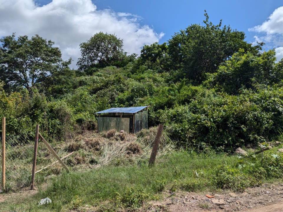 La colonia, de categoría R1 y situada en una zona céntrica, carece de sistema de agua potable y alcantarillado sanitario.