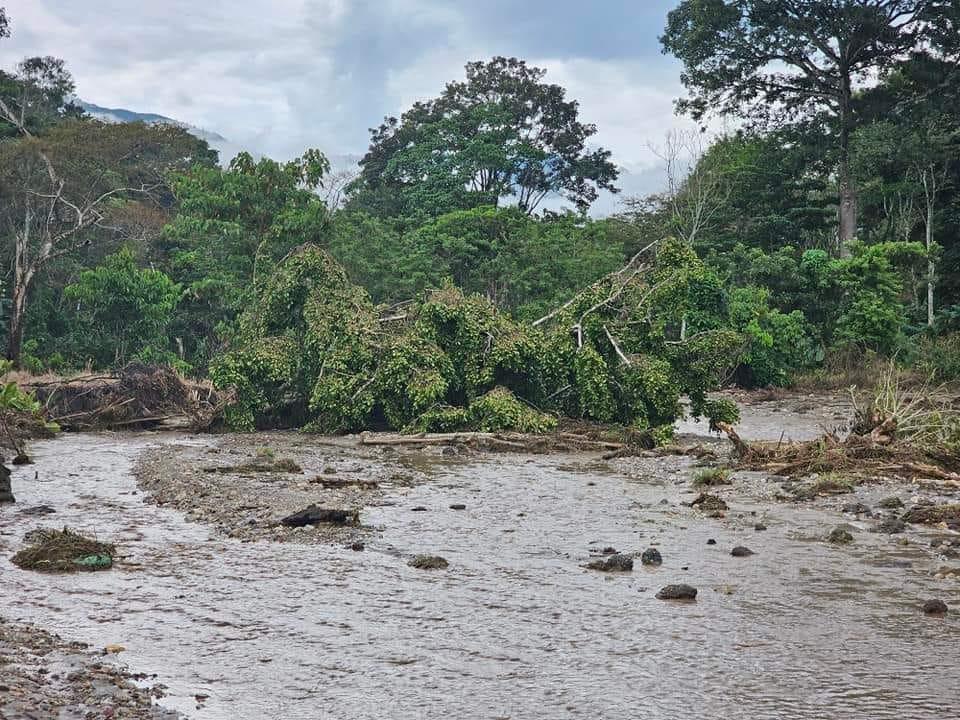 Trojes, El Paraíso, urge de apoyo tras desastre provocado por las lluvias