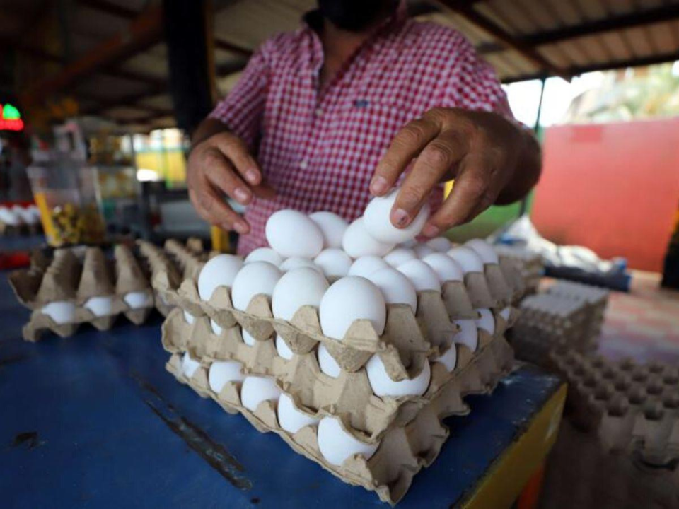 Un cartón de huevos se compra en los mercados capitalinos por 55 lempiras o menos.