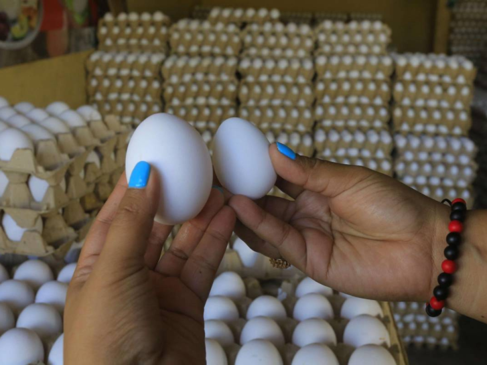 Hoy un cartón de huevos en Tegucigalpa cuesta 55 lempiras, mientras que en San Pedro está en L75