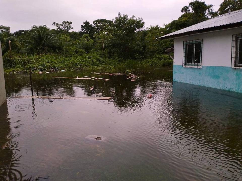 Varios ríos se han salido de su caudal en Gracias a Dios debido a las fuertes lluvias que deja la tormenta tropical Sara. El agua ha llegado hasta las zonas bajas, alcanzando viviendas. La diputada Erika Urtecho informó que son 8 las comunidades afectadas.