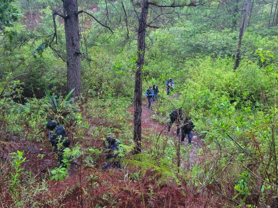 En esta zona boscosa de Tatumbla encontraron a cuatro de los cinco jóvenes asesinados, todavía se busca al quinto desaparecido.