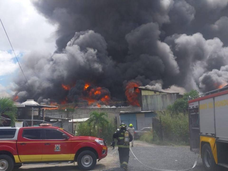 El incendio de grandes proporciones se divisaba desde varios kilómetros.